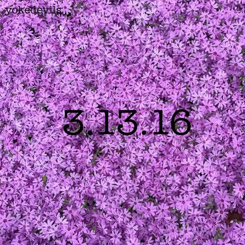 3.13.16