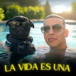 La Vida es Una(Daddy Yankee)