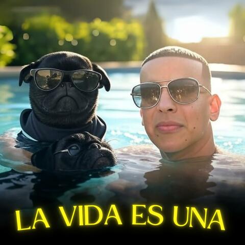 La Vida es Una(Daddy Yankee)