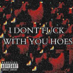 I DONT FUCK WITH YOU HOES