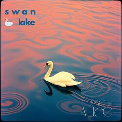 swan lake
