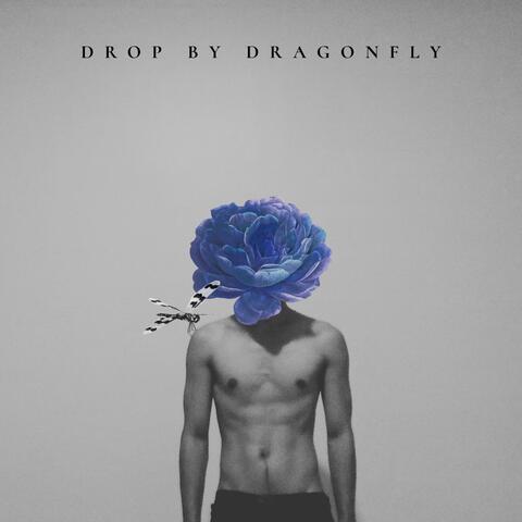 Drop by Dragonfly