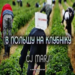 В Польщу На Клубніку