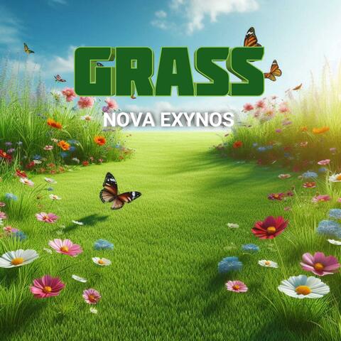 Grass