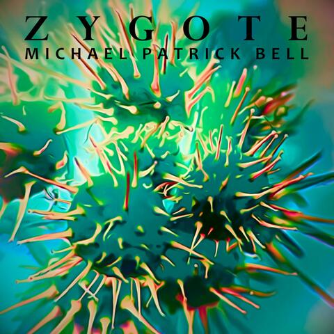 Zygote