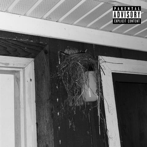 FRIGHT FEST (feat. Adrenaln)