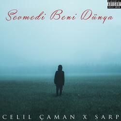 Sevmedi Beni Dünya (feat. Sarp)