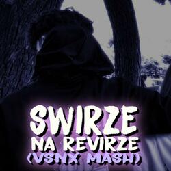 SWIRZE NA REVIRZE (vsnx mash)