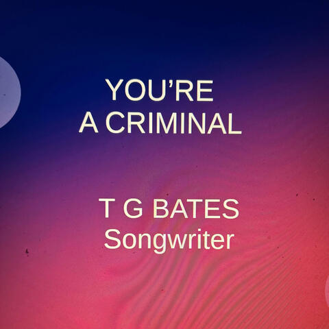 You're A Criminal