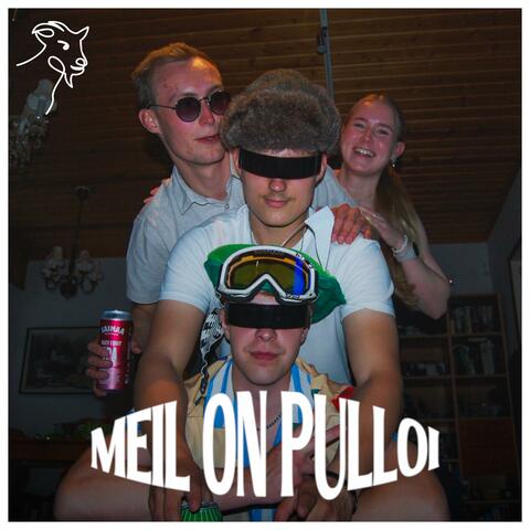 Meil on pulloi