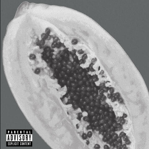 Papaya