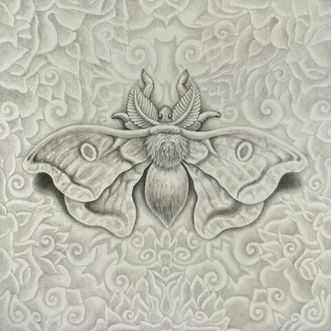 Drawing Of A Moth