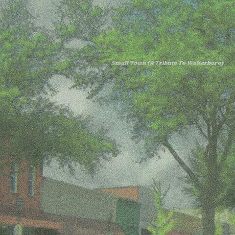 Small Town (A Tribute To Walterboro)