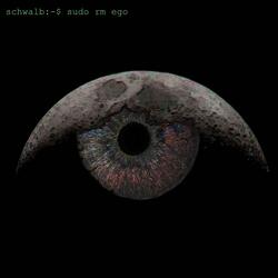 sudo rm ego (Remix)