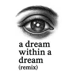 A dream within a dream (remix)