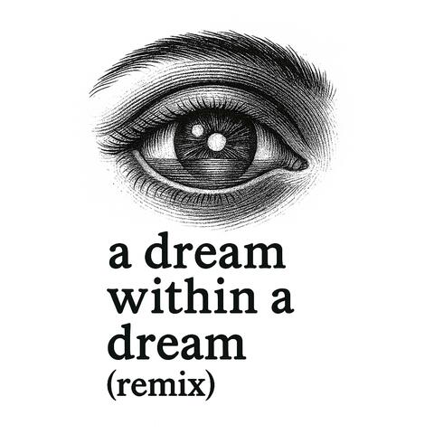 A dream within a dream (remix)