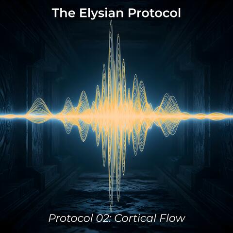 Protocol 02: Cortical Flow