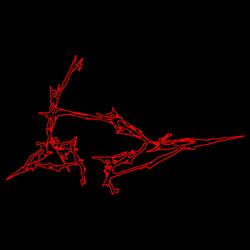 Whose blood is that? (Video Version )