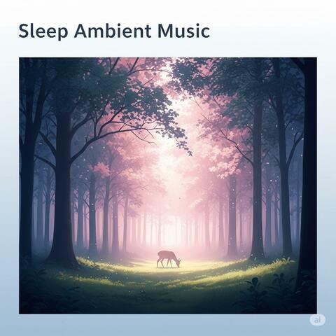 Sleep Ambient Music