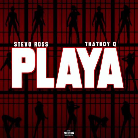 Playa (feat. ThatBoy Q)