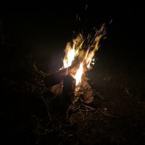 IHateMirrors (feat. Apolis)