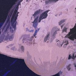 the void