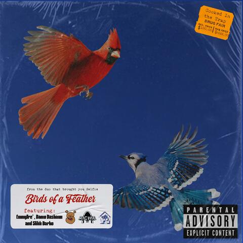 Birds of a Feather