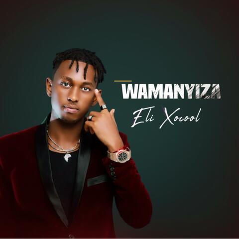 Wamanyiza (feat. Daddy Andre)