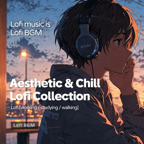 Aesthetic & Chill Lofi Collection (Lofi BGM)