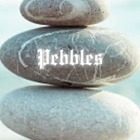 PEBBLES