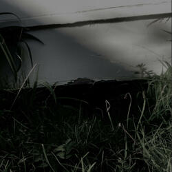 wherethewildthingsare