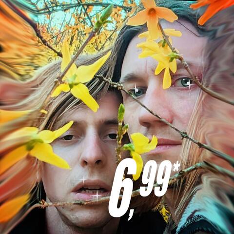 6,99*