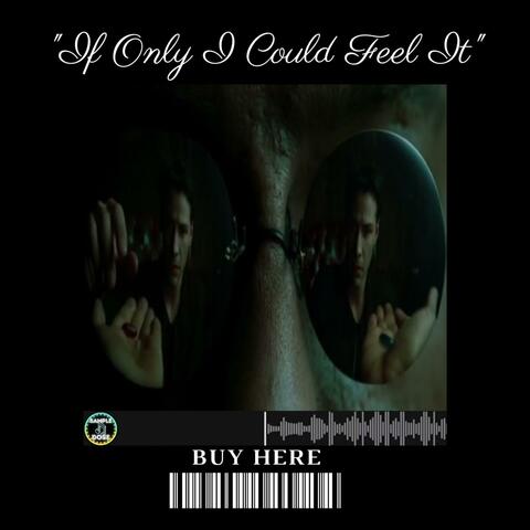 If Only I Could Feel It