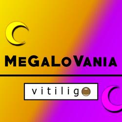 MeGaLoVania (Homestuck cover)