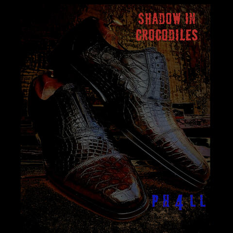 Shadow in crocodiles