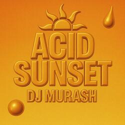 ACID SUNSET