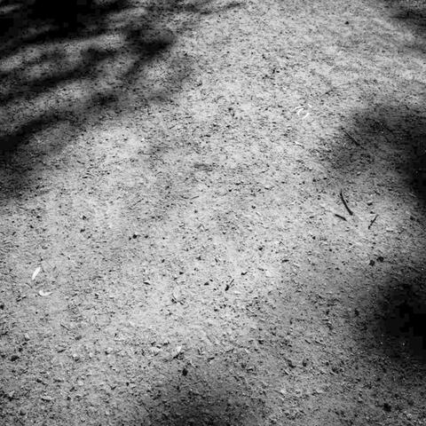 AFTERIMAGE