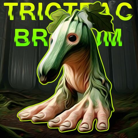 TRIC TRAC BARABUM FUNK (SUPER SLOWED)