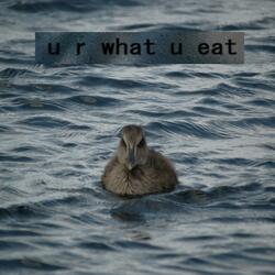 u r what u eat