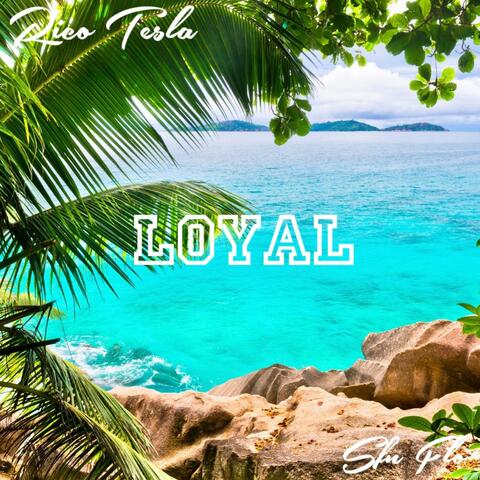 LOYAL (feat. SFN Flo)