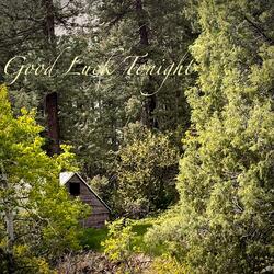 You Never Ask The Bride, Do You?