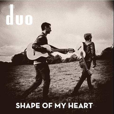 Shape Of My Heart