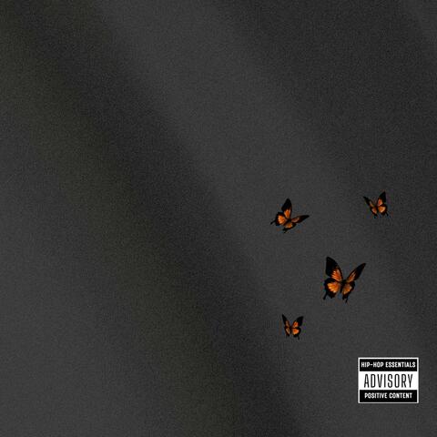 I'm sorry now that im lonely (EDM MIX)