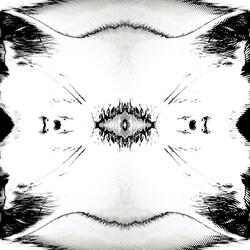 Sensory deprivation for cats