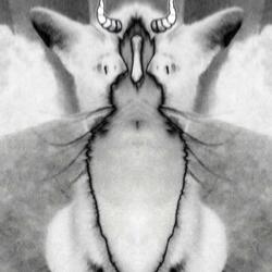 Hey, fuck you butthead!