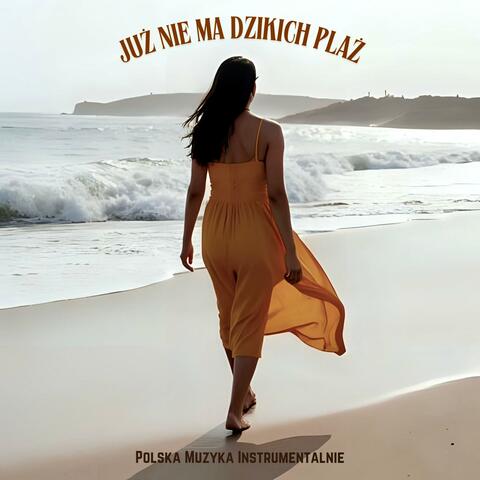 Już nie ma dzikich plaż