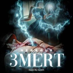 3MERT