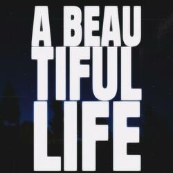 A BEAUTIFUL INTRODUCTION