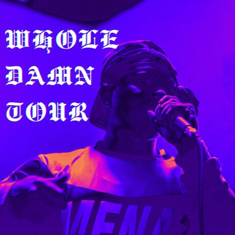 whole damn tour
