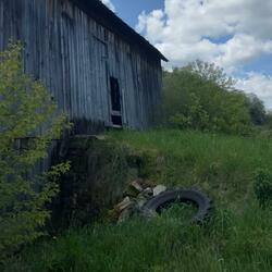 Southern Hospitality